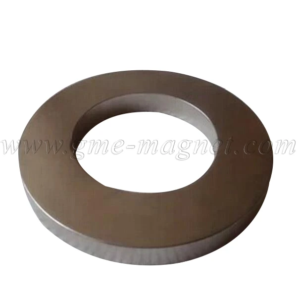 Magnete Kaufen Super Strong Magnets Ring Magnets Used for Speakers